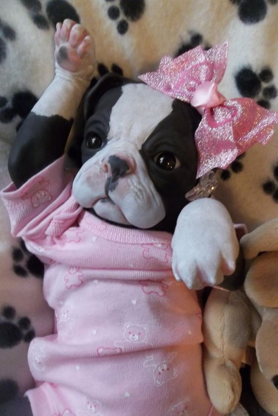 OMG she looks so  Custom Reborn puppy art dog doll Princess on Etsy, $