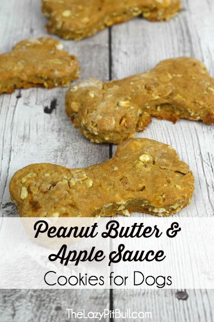 Peanut Butter and Apple Sauce Cookies for Dogs | 