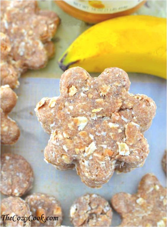 Peanut Butter Oatmeal Banana Dog Treats | 17 Healthy Homemade Pet Food Recipes and Treats