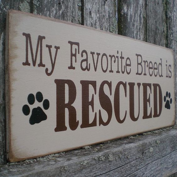 Perfect gift for the pet lover in your life! Primitive Wood Sign My Favorite Breed Is by scaredycatprimitives, $