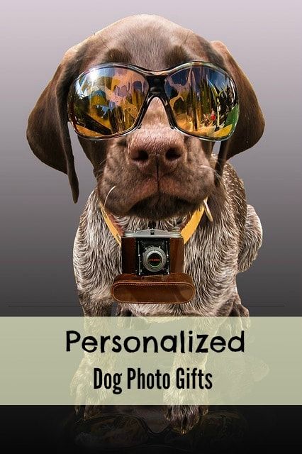 Personalized dog photo gifts for that dog lover in your life. These work great as keepsakes.