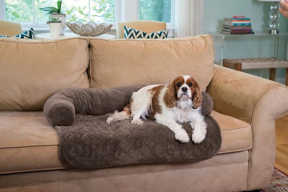Pet Bed & Furniture Cover
