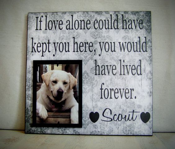 Pet Picture Frame Gift Pet Memorial Gift Dog by YourPictureStory