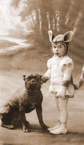 pit bulls have always been the nannying dog