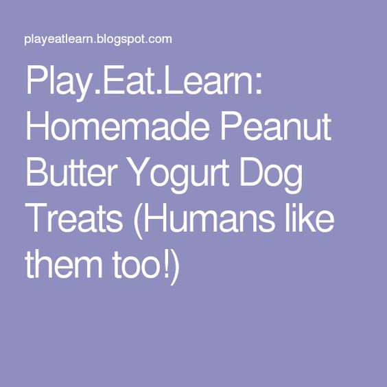 : Homemade Peanut Butter Yogurt Dog Treats (Humans like them too!)