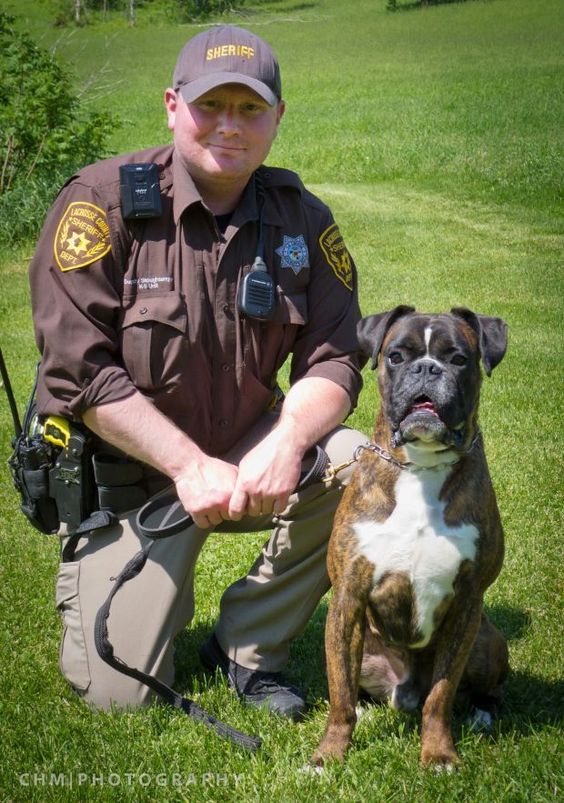 Police  Deputy Brandon Stoughtenger of Onalaska, WI, and his German boxer, Sabiye, have been training together since 2011. Sabiye recently became the only German boxer in the world to earn an elite IPO3 ranking.