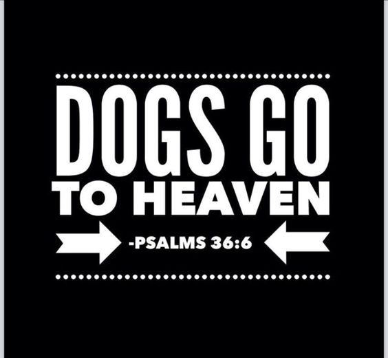 Psalms 36:6 Dogs Go To Heaven .... It's possible that they deserve heaven even more than we do since they are so innocent