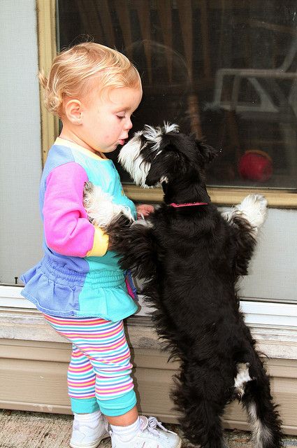 Puppy Dog Kisses by Nancy Harris, via Flickr