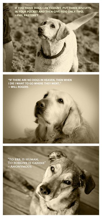 Quotable Canine Collection  Three 5 x 7 Prints by MarkJAsher, $
