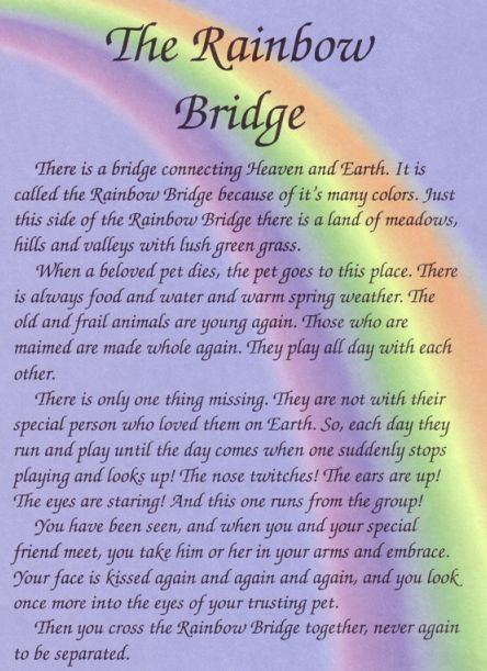 Rainbow Bridge Dog Heaven | #Rainbow%20Bridge%20Poem