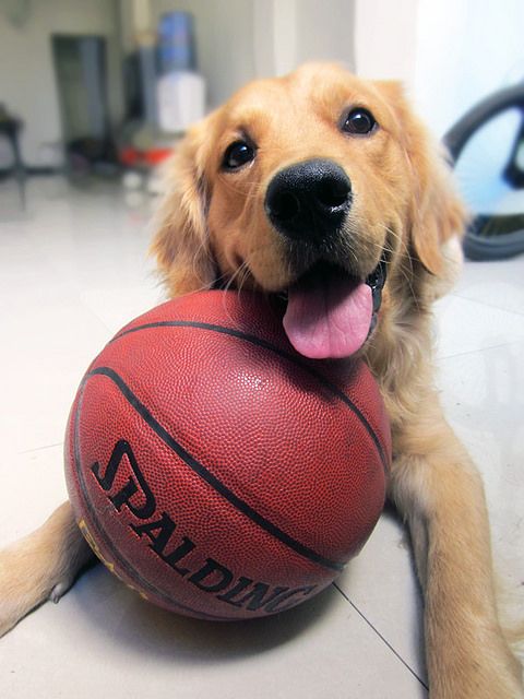 Ready to play