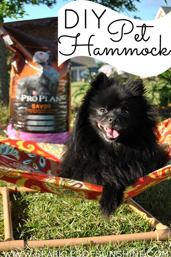Savor moments with your pet this summer with a DIY Pet Hammock. See the easy tutorial! #ad #PawsToSavor #client