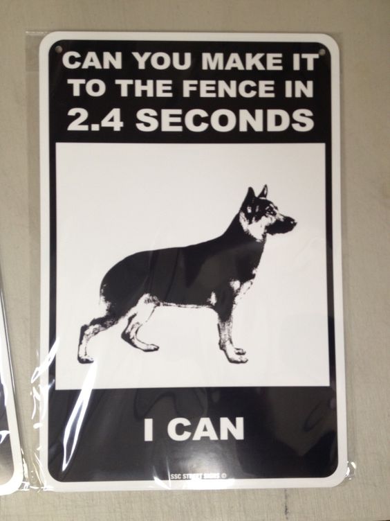 scary beware of dog signs | ... - metal fence sign - Funny - German Shepherd - Beware of Dog sign