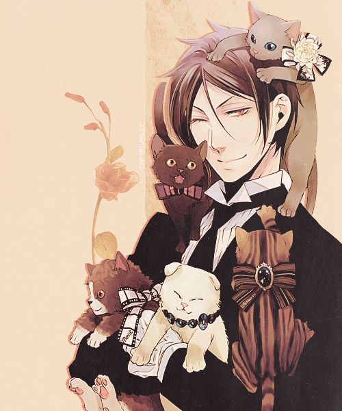 Sebastian with cats