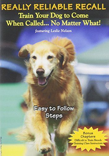 Secret Strategies for Training Your Dog to Come When Called