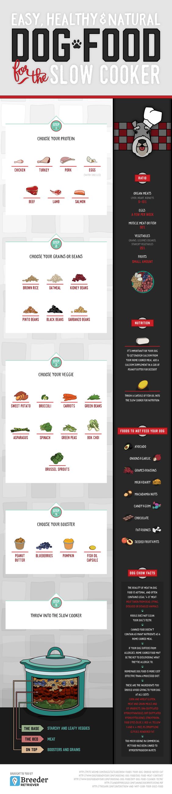 Set Tails Wagging With This Healthy Homemade Dog Food Infographic!