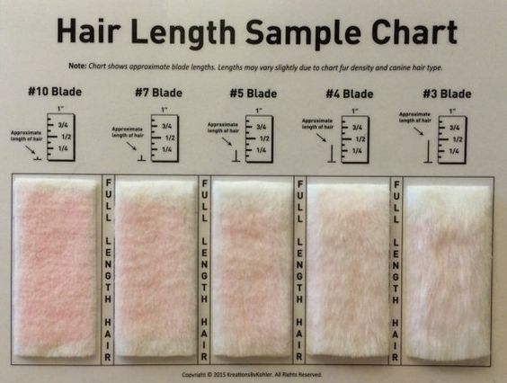 Shave Blade Sample Chart for Grooming by KreationsByKohler on Etsy