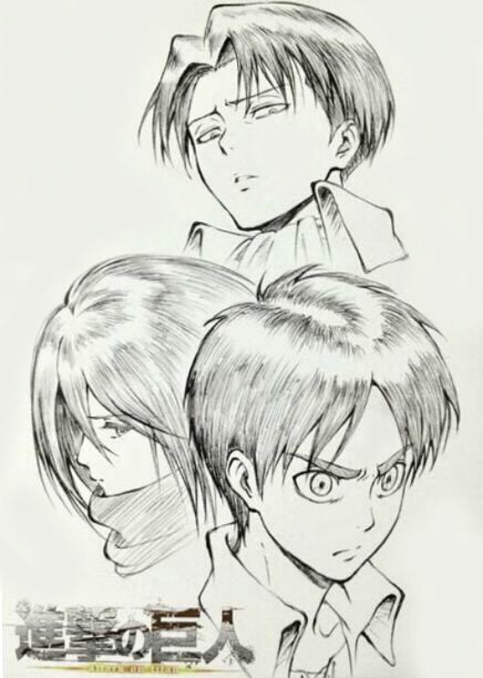 Shingeki no Kyojin Official Art - Eren, Mikasa, and Levi