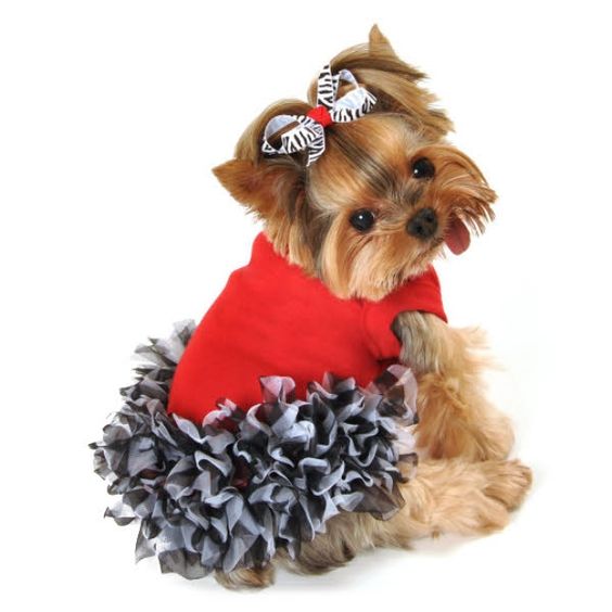 Show the wild side in your doggy girl with the pretty zebra Maddie Dog Dress. An adorable red dress with chiffon zebra print ruffles. The perfect dress for any occasion.