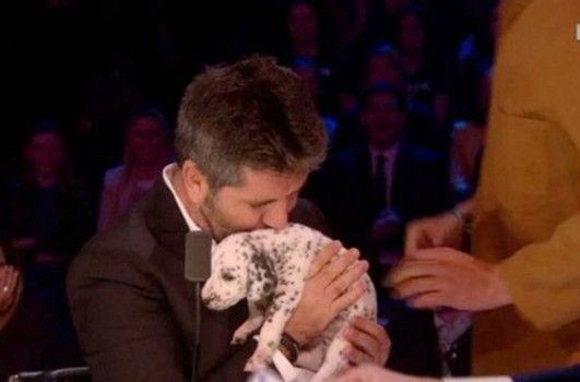 Simon Cowell walks off stage with scared puppy on 'Britain's Got More Talent'  - this is why I like Simon