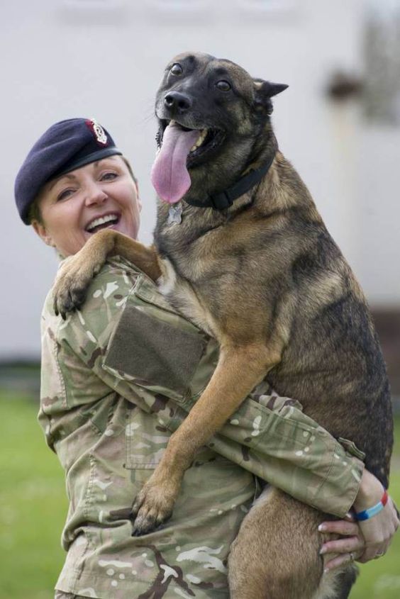 Soldier adopts hero military dog that ‘saved her life’ in Afghanistan