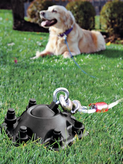SureSwivel- rotating dog tie out, dog run, and tether | Solutions