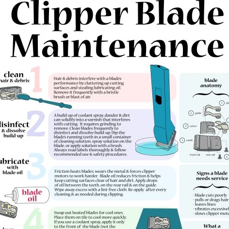 Take good care of your blades and they will take good care of you!
