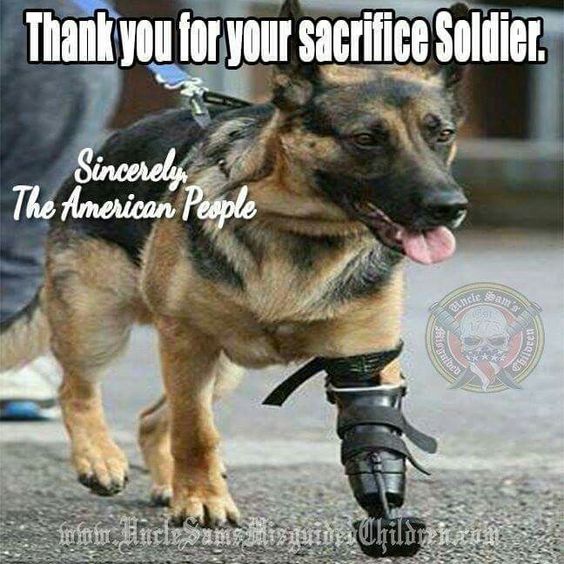 Thank You for Your Sacrifice, Soldier ♡