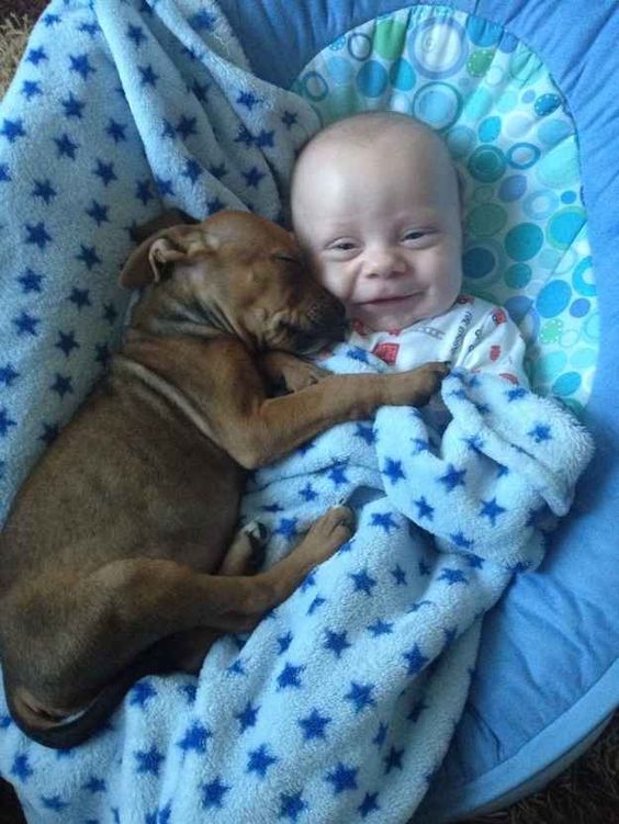 The first days of the powerful Puppy/Baby Alliance. | The 30 Greatest Moments In The History Of Cute