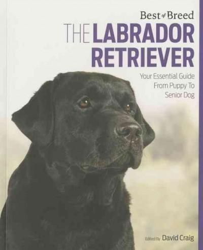 The Labrador Retriever: Your Essential Guide from Puppy to Senior Dog