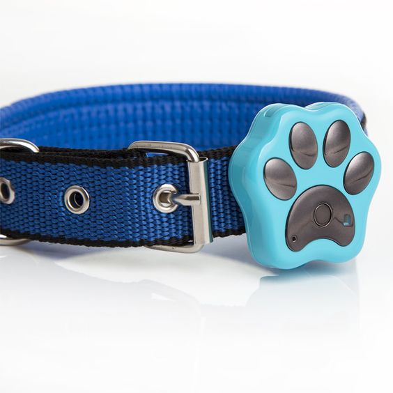 The Paw Tracker - Pet Collar GPS Tracking Device The Paw Pet Tracker features one of best on-collar GPS tracking device with a simple mobile app, putting your pet’s needs and location right at your fingertips. Allowing you to locate your pet in minutes and track their daily activity on your phone.