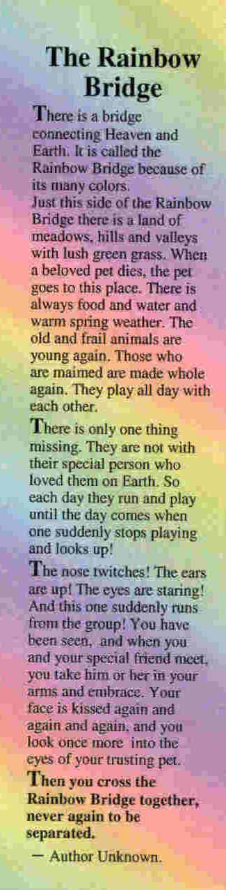 The Rainbow Bridge Poem. In honor of our dear Cocoa. My heart aches for you. I have missed you really bad today. Love mom