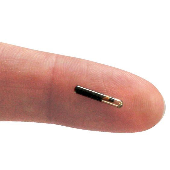 The Theft Recovery Microchips - Hammacher Schlemmer - When implanted into your personal, cherished items, these are the microchips that use radio frequency identification to verify ownership if items are lost or stolen.