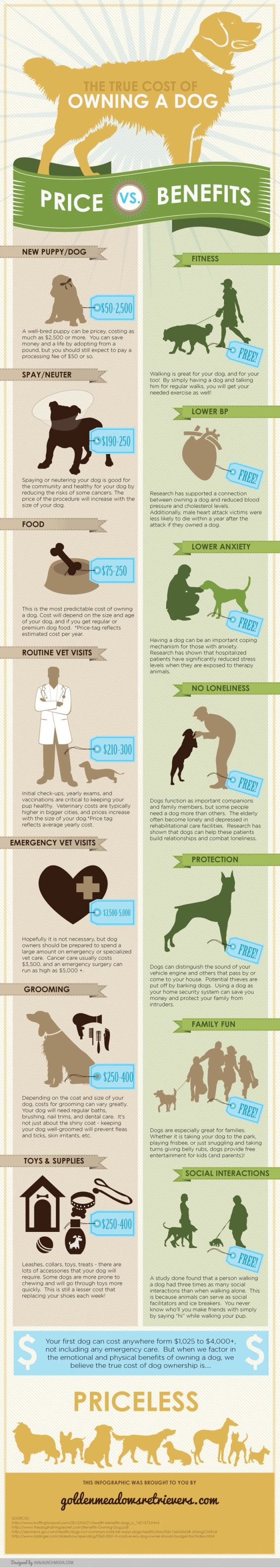 The True Cost of Owning a Dog [INFOGRAPHIC]