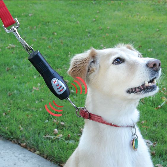 The Tug-Preventing Dog Trainer - Hammacher Schlemmer - Suitable for all dog breeds and sizes, this ultrasonic device trains dogs to walk without tugging their owner.