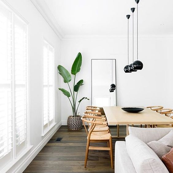 There is so much to love about interior spaces but bright light (and white!) spaces are my favourite. Beautiful image by @Biasol: Design Studio #wishbonechair #blackpendant #indoorplant by neutralinstinct