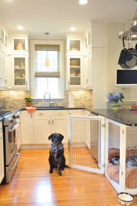 They follow us around and are underfoot anyway, so why not give them a space out of the way while we cook? Why not? Because the space is more valuable as storage. Just kick the dogs out of the kitchen and cook.