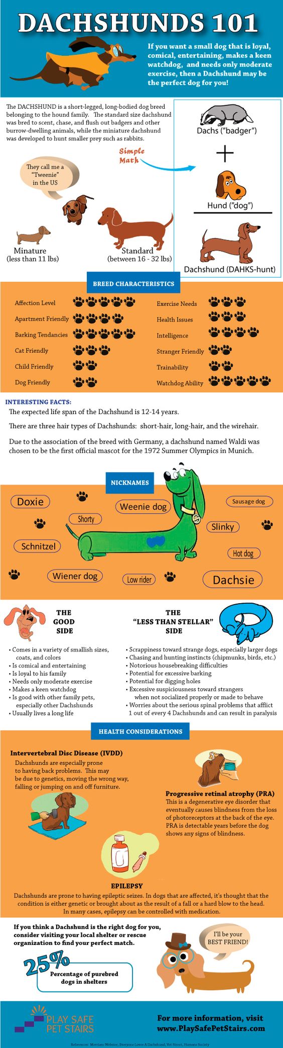 Think a Dachshund is the perfect dog for you? This Dachshunds 101 infographic can help you decide! And, if you do decide a #Dachshund is the perfect pet for your family, make sure to get them their very own #dogstairs so they can reach you on the couch or bed (they call them 