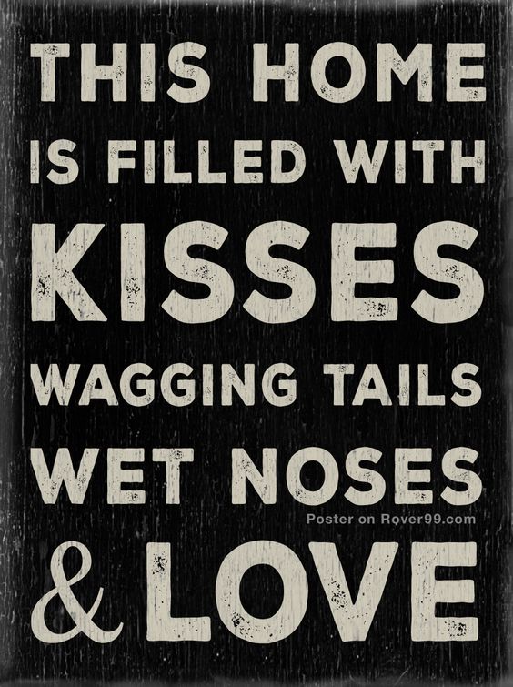 This Home – Mono | Dog Quote Poster