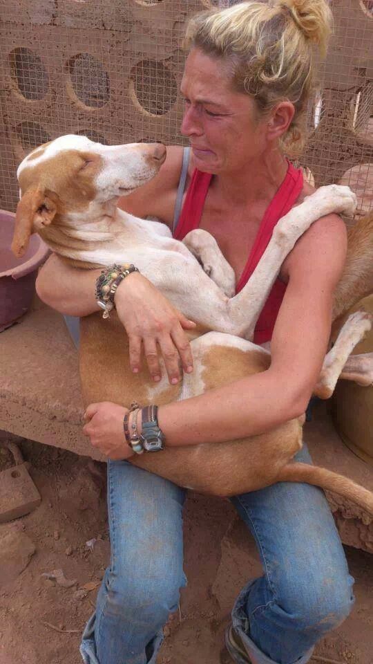 This lady went to an animal shelter in Spain, the dog climbed onto her lap and her heart broke, she adopted him ♡♡♡Everyone has the right to be happy. Two have succeeded.