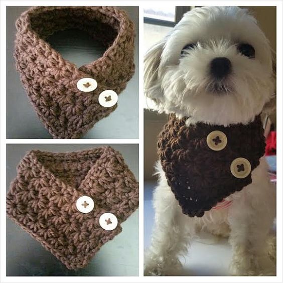 This scarf is great for any small dog. Its stretchy pattern. This is suggested for the following toy breeds: Chihuahua, Yorkie, Poodle,