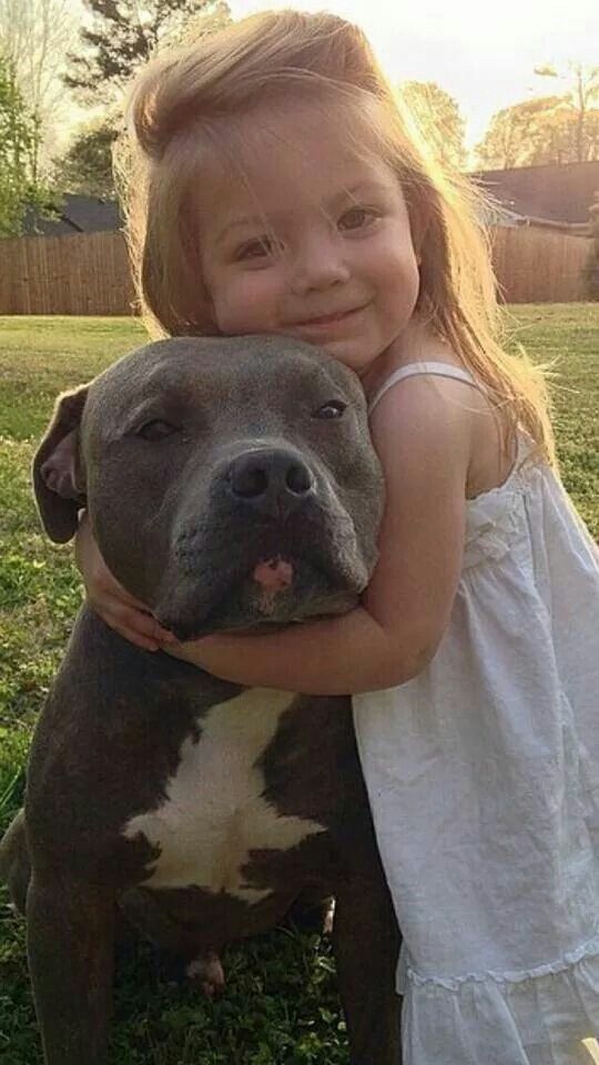 Total sweetness! #pitbull #dog