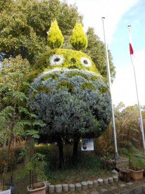 Totoro Tree- this is certainly going on the Nefarious House Plans To-Do List.