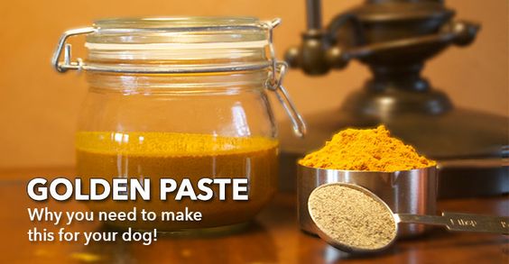 turmeric golden paste for dogs