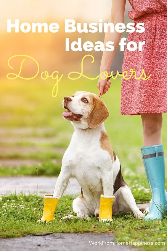Turn your love of dogs into a career with these home business ideas for dog lovers!