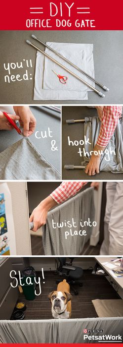 Upgrade your canine coworker’s cubicle with this DIY Dog Gate. You’ll need two shower or window curtain tension rods, two large pillow cases (stretchy jersey material works great!) and scissors. First, cut the pillow case so there are openings on both sides. Second, slide both tension rods through the openings. Finally, twist the rods into place in the cubicle opening and adjust the fabric as needed. It only takes a few minutes to give your buddy a pawesome #PetsAtWork home! #PetLifeHack