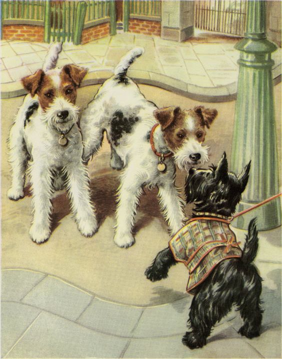 Vintage Dog Print Terrier & Scottie Puppies by Winifred Martin C. 1953 Vintage Decor Matted 11x14