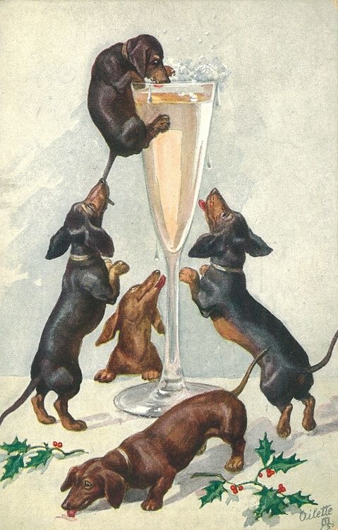 Vintage Happy New Year Dachshunds postcard