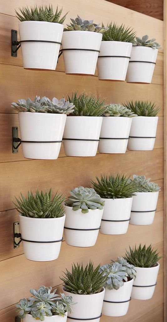 Wall planter hooks from Crate Barrel