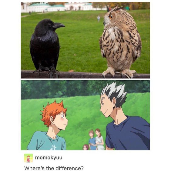 WAT there's a difference between these pics !!?? #haikyuu